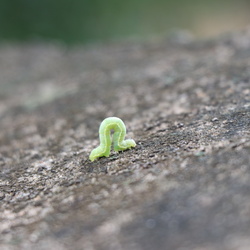 Photography 2025 Juniors