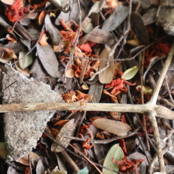 Photography 2025 Seniors